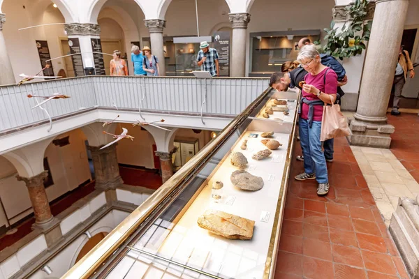 07 agosto 2019, Monaco di Baviera, Germania: Visitatori e studenti studiano gli organismi paleontologici preistorici in mostra al Museo — Foto Stock