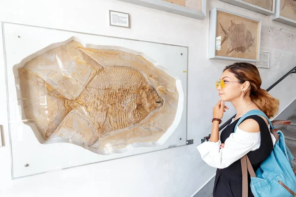 07 серпня 2019, Мюнхен, Німеччина: Азійська дівчинка відвідувач або студент вивчення палеонтологічної доісторичної риби в музеї — стокове фото