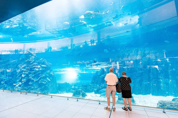 26 de novembro de 2019, Dubai, Emirados Árabes Unidos: Visitantes do famoso aquário enorme no interior do Dubai Mall — Fotografia de Stock