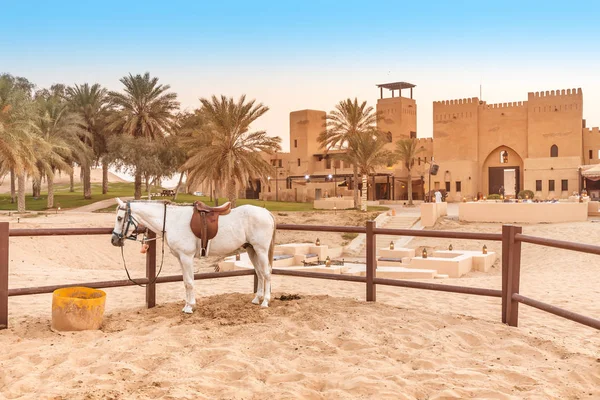 Puesto con caballos árabes de pura raza cerca de un antiguo pueblo en el desierto Sands . — Foto de Stock