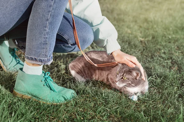 Chica Propietaria Pasea Gato Con Una Correa Césped Fresco Primavera — Foto de Stock