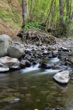 Bir dere su özellikleri.