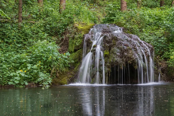 Чистые воды ручья, водопады . — стоковое фото