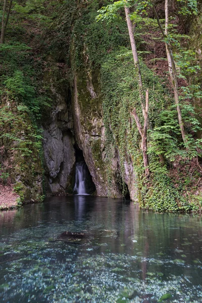 Чистые воды ручья, водопады . — стоковое фото