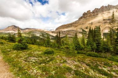 Banff Ulusal Parkı, Alberta, Kanada 'daki Helen Gölü yürüyüş parkından Dolomit Tepesi manzarası
