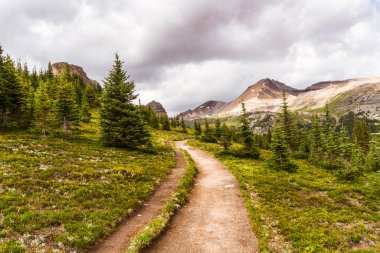 Banff Ulusal Parkı, Alberta, Kanada 'daki Helen Gölü yürüyüş parkından Cirque Peak manzarası 