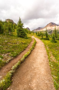 Banff Ulusal Parkı, Alberta, Kanada 'daki Helen Gölü yürüyüş parkından Cirque Peak manzarası 