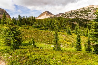 Banff Ulusal Parkı, Alberta, Kanada 'daki Helen Gölü yürüyüş parkından Cirque Peak manzarası 