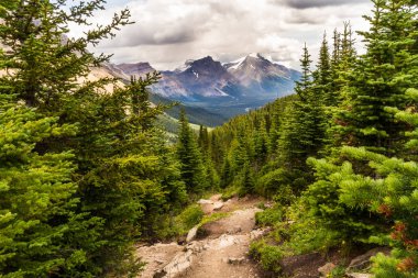 Rocky Dağları. Dağların yolu ve Hector Dağı dağ yolundan Banff Ulusal Parkı, Alberta, Kanada 'daki Helen Gölü' ne.