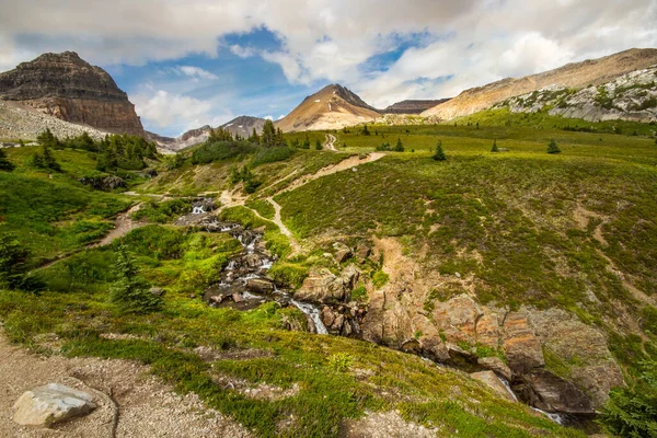 Rocky Mountains Small Alpine Stream Helen Lake Trail Banff National — Stock Photo, Image