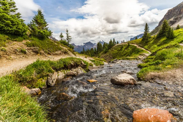 Rocky Mountains Small Alpine Stream Helen Lake Trail Banff National — Stock Photo, Image