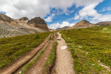 Banff Ulusal Parkı 'ndaki Helen Gölü' nden Kanada 'nın Alberta şehrindeki Rocky Dağları Tepesi manzarası. 