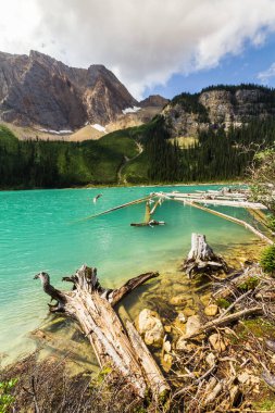 Rocky Dağları. Lower Sherbrook Gölü Yoho Ulusal Parkı, British Columbia, Kanada