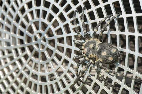 Closeup Toy Spider Metal Web — Stock Photo, Image