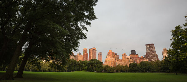 Early morning in New York City Central Park with Manhattan skyline and skyscrapers