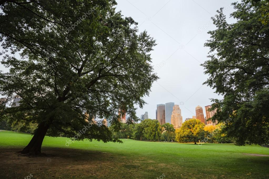 New York City Central Park