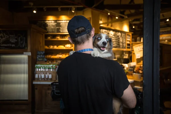 Man with a dog on his hands — Stock Photo, Image