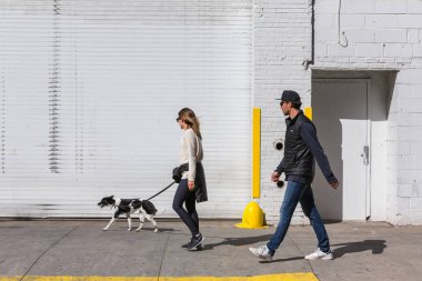 Köpekler Nyc sokaklarında