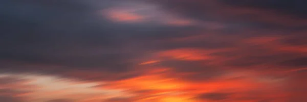 Fondo de la naturaleza borrosa — Foto de Stock