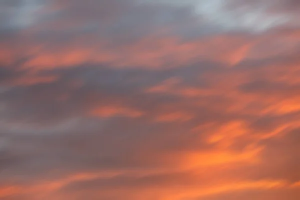 Hintergrund verschwommene Natur — Stockfoto