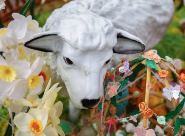 Paskalya yumurtaları Festivali