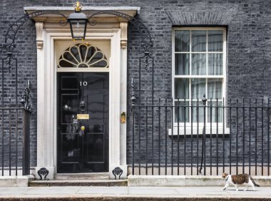 10 Downing Street Şef Mouser kedi