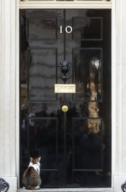 10 Downing Street Şef Mouser kedi