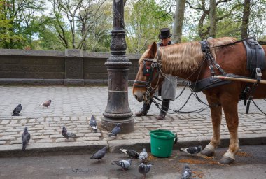 Manhattan sokak sahneleri