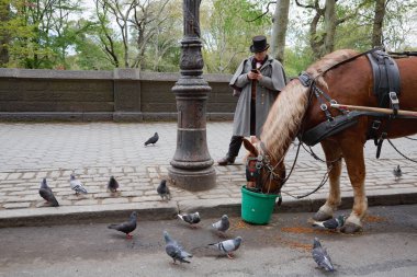 Manhattan sokak sahnesi