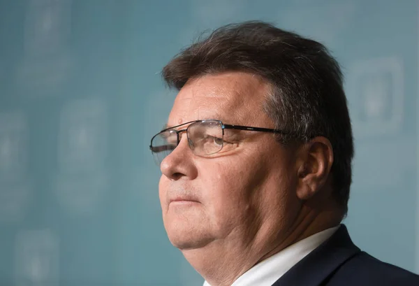 Litvanya Linas Linkevicius Dışişleri Bakanı — Stok fotoğraf