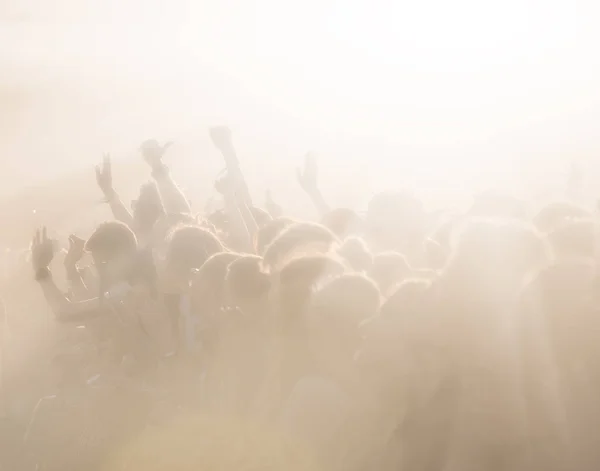 Πλήθος κόσμου σε μια ανοικτή παιδική χαρά σε μια συναυλία — Φωτογραφία Αρχείου