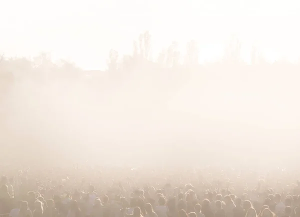 Menigte van mensen op een open speelplaats tijdens een concert — Stockfoto