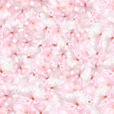 Sakura çiçekli güzel seamless modeli