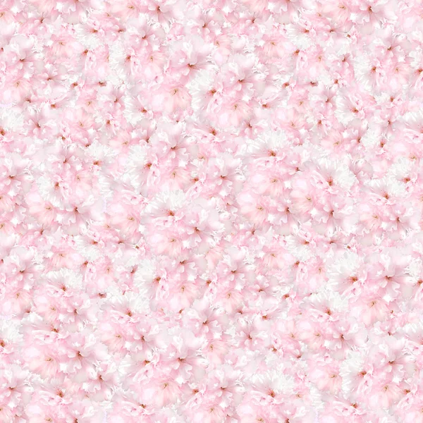 Hermoso patrón sin costura con flores de sakura — Foto de Stock