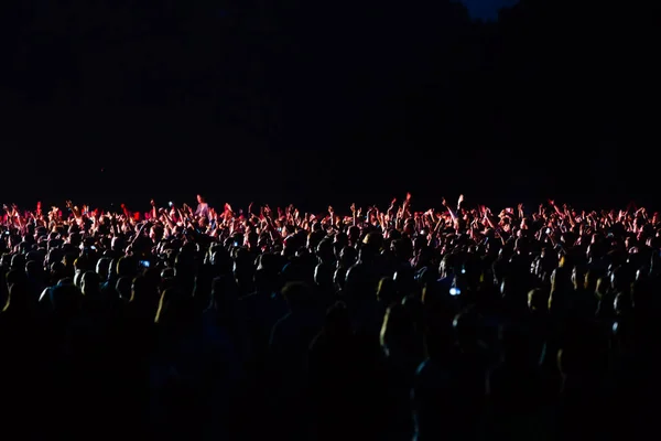 Toeschouwers bij een concert in de nacht — Stockfoto