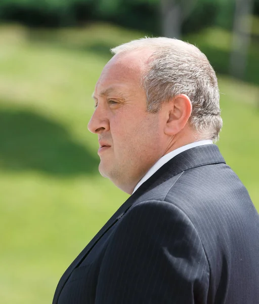 Georgische President Giorgi Margvelashvili — Stockfoto