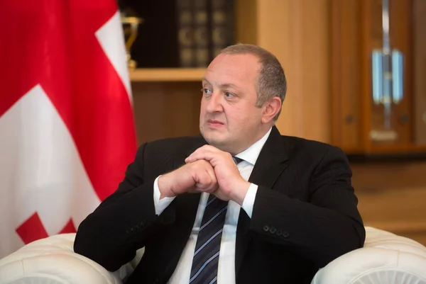 Georgian President Giorgi Margvelashvili — Stock Photo, Image