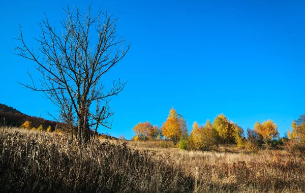 Autumn in Carpathian Mountains — Stock Photo, Image