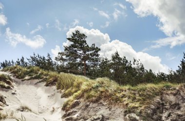 Klasik Baltık plaj manzara