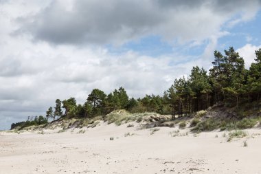 Klasik Baltık plaj manzara