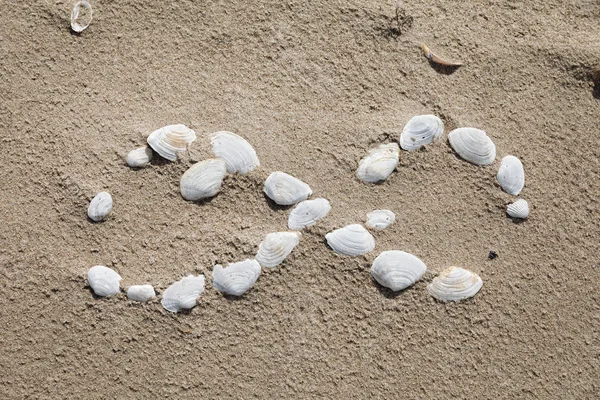 Symbol infinity lined with seashells — Stock Photo, Image