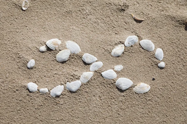 Simbolo infinito foderato con conchiglie — Foto Stock