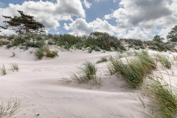 Klasik Baltık Denizi plaj manzara