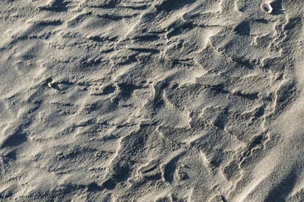 Beach sand background — Stock Photo, Image