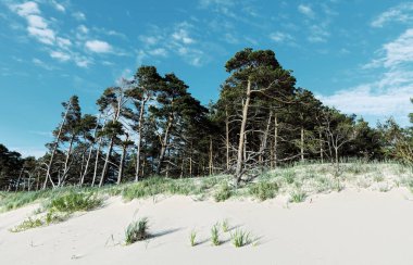 Kum tepeleri ile çam ağaçları ve bulutlar