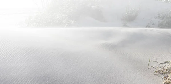 Duinen in zonlicht — Stockfoto