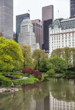 Central Park ve NYC Manhattan Skyline