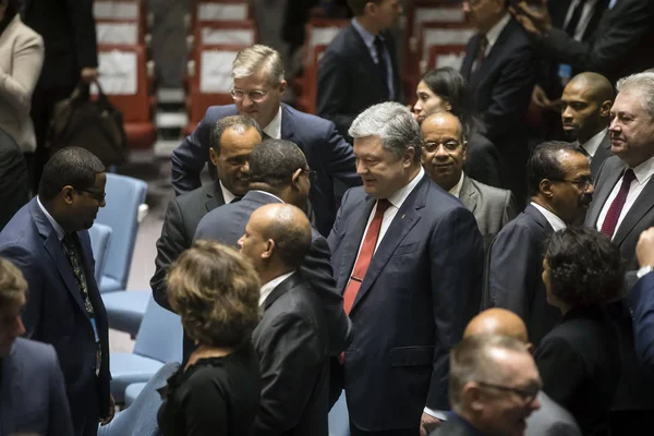 Ukrayna Petro Poroshenko BM Genel Kurul Başkanı — Stok fotoğraf