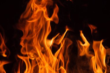 portakal yangın alevleri