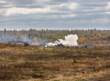 Ukrayna silahlı kuvvetleri